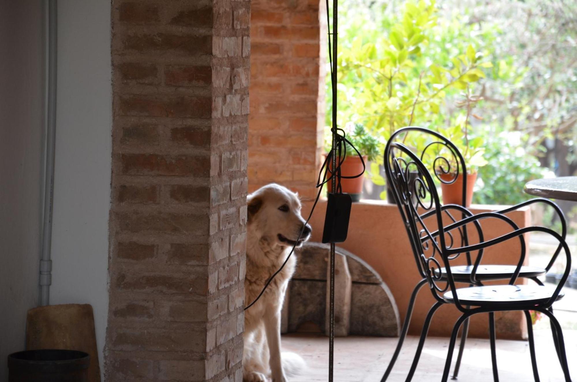 Borgo Piazza Bed & Breakfast Catanzaro Bilik gambar