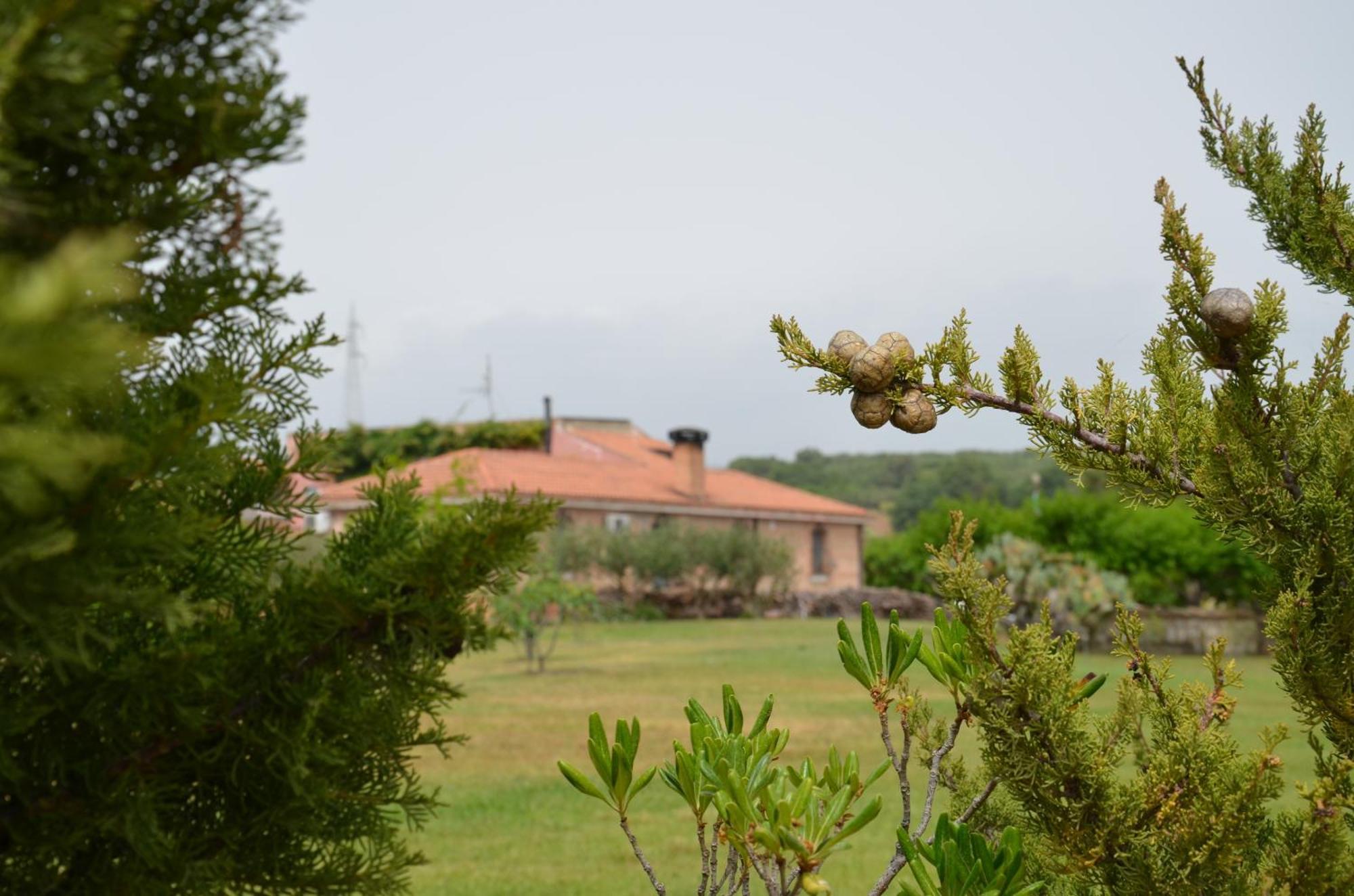 Borgo Piazza Bed & Breakfast Catanzaro Bilik gambar